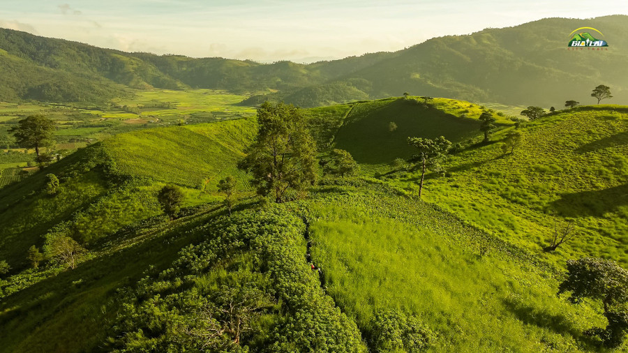 Đỉnh Chư Đang Ya nằm trên đường chạy của Gia Lai City Trail 2025 download-37.jpg