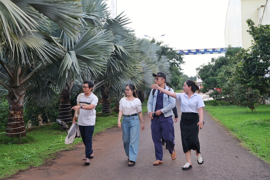 Hàng cây kẻ bạt-một loại dược liệu làm thuốc sát trùng, vừa tạo cảnh quan cho điểm du lịch công nghiệp. Ảnh: HOÀNG NGỌC du-khach-di-duoi-hang-cay-ke-bat-mot-loai-duoc-lieu-lam-thuoc-sat-trung-vua-tao-canh-quan-cho-diem-du-lich.jpg
