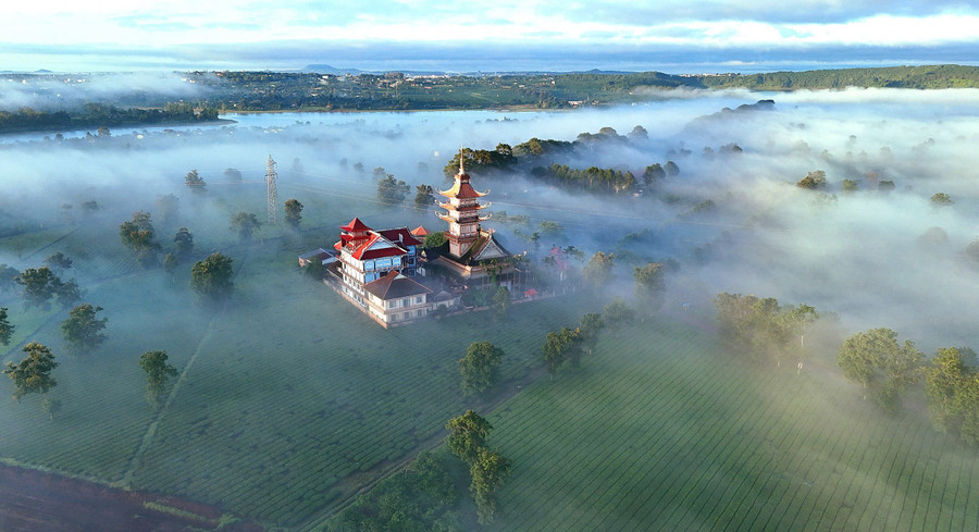 វត្តបុរាណ Buu Minh នៅកណ្តាលវាលតែអាយុមួយរយឆ្នាំ។ រូបថត៖ Doan Vinh img-2778.jpg
