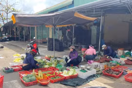 Mưu sinh ngày đầu xuân