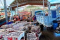 Ngư dân Đề Gi đoàn kết giữ vững chủ quyền biển, đảo