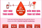 Ngày Quốc tế Người hiến máu: Giọt máu tình người - Hiến máu đào, trao sự sống