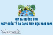 Gia Lai hưởng ứng Ngày Quốc tế Đa dạng sinh học năm 2026