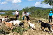 Trợ lực cho người lao động tạo sinh kế bền vững