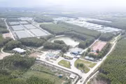 Thu hút đầu tư vào chăn nuôi gắn với bảo vệ môi trường 