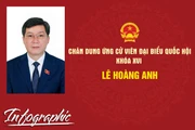 Chân dung ứng cử viên đại biểu Quốc hội khóa XVI Lê Hoàng Anh