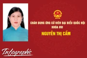 Chân dung ứng cử viên đại biểu Quốc hội khóa XVI Nguyễn Thị Cẩm