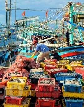 Chợ cá cầu Hàm Tử