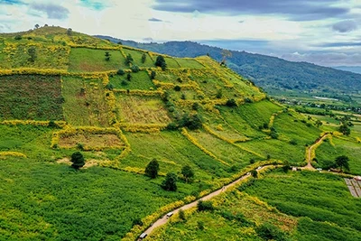 Định hình cực tăng trưởng du lịch rừng - biển