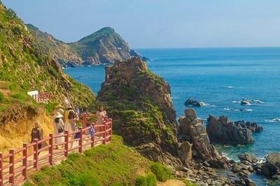 Đa dạng tour hè