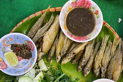 Cá đá sông Côn