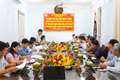 Hoài Nhơn định hướng phát triển vùng trồng dừa và cây dược liệu.