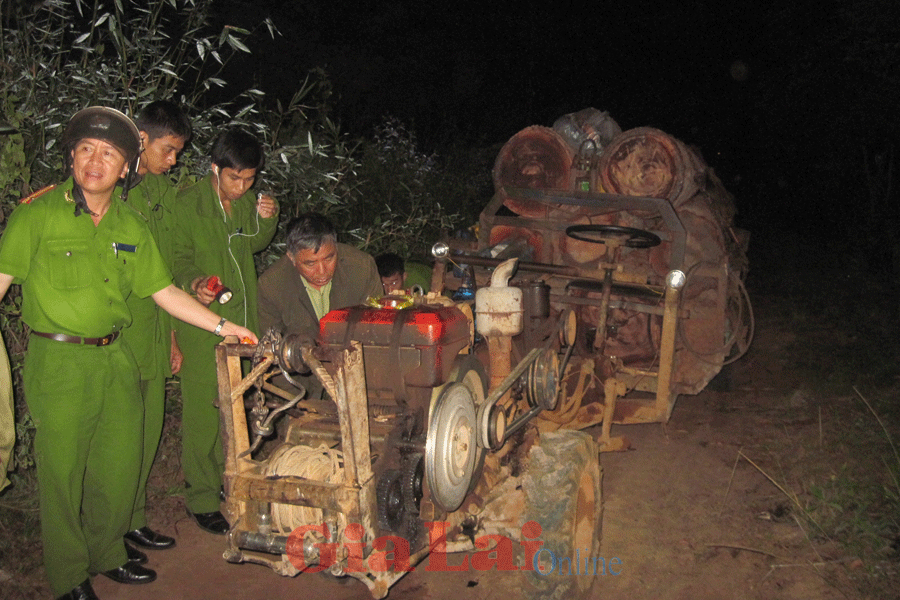  Gỗ lậu bị lực lượng liên ngành huyện Ea Hleo bắt giữ. Ảnh: Công Hoan