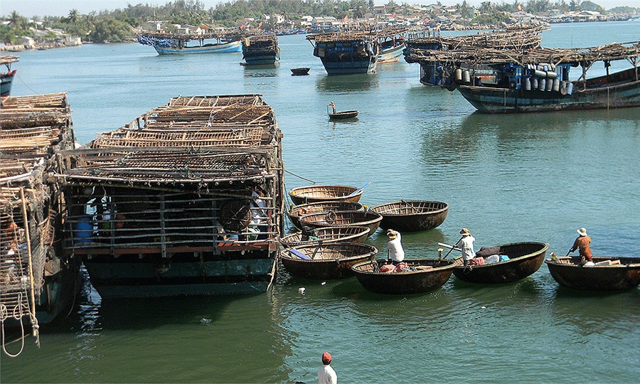 Ảnh: An Nguyên Ảnh: An Nguyên