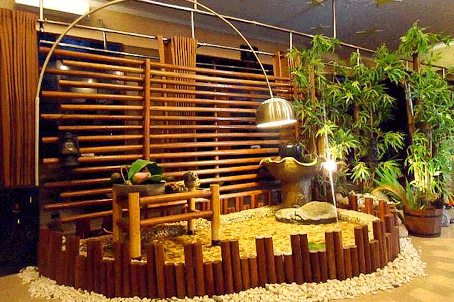 Không gian ấm áp, hòa quyện với thiên nhiên tại ANAN CLINIC & SPA (ảnh do Spa cung cấp)