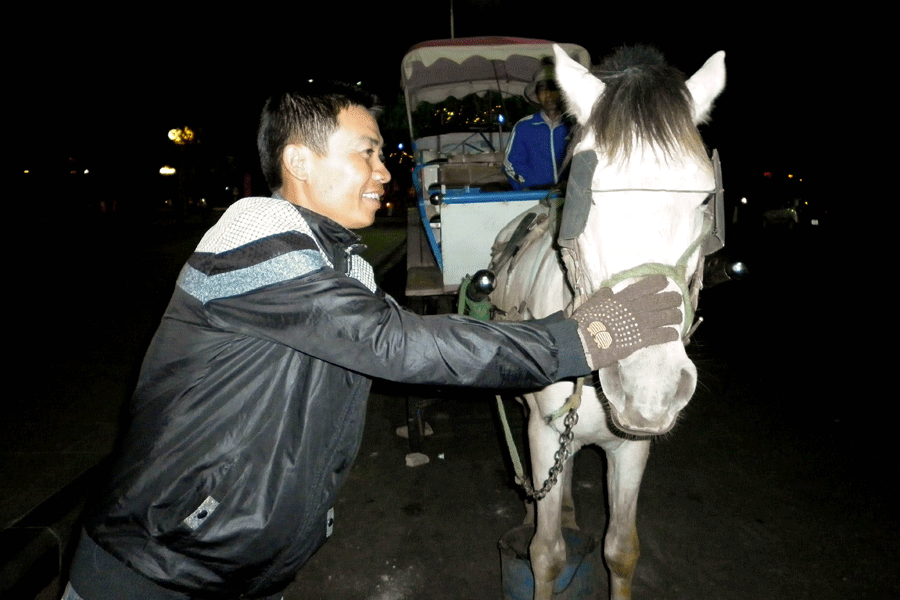 Du khách tỏ ra thích thú với chú ngựa bạch. Ảnh: Trần Dung
