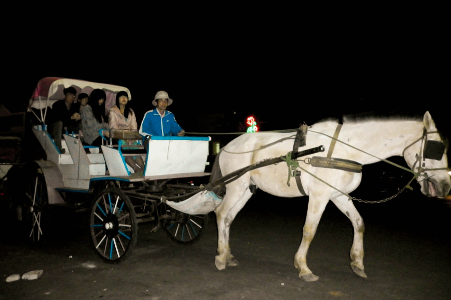 Nhiều người chọn xe ngựa để du xuân. Ảnh: Trần Dung