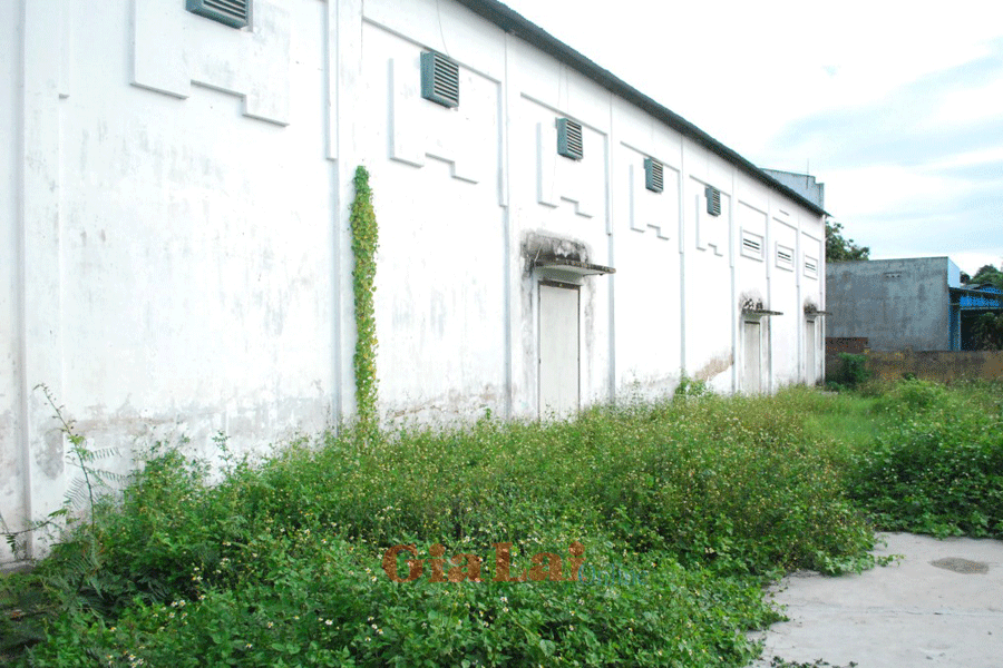 Ảnh: Nguyễn Tú Ảnh: Nguyễn Tú