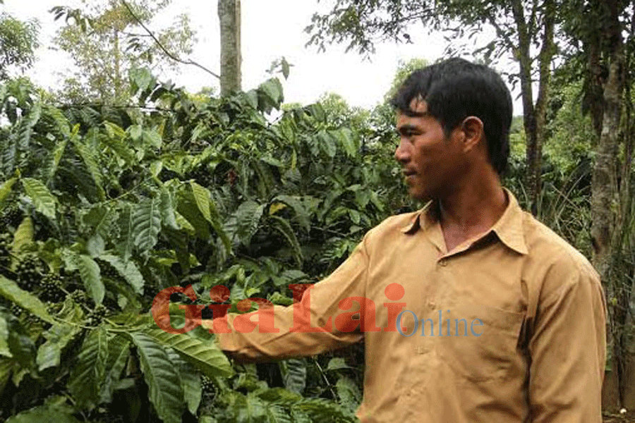 Anh Rơ Châm Phil. Ảnh: Tiến Tuấn Anh Rơ Châm Phil. Ảnh: Tiến Tuấn