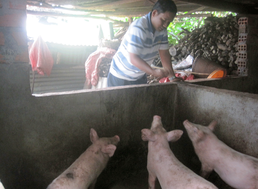 Ảnh: Tú Uyên Ảnh: Tú Uyên