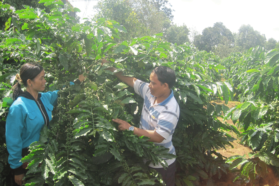 Ảnh: Tú Uyên Ảnh: Tú Uyên