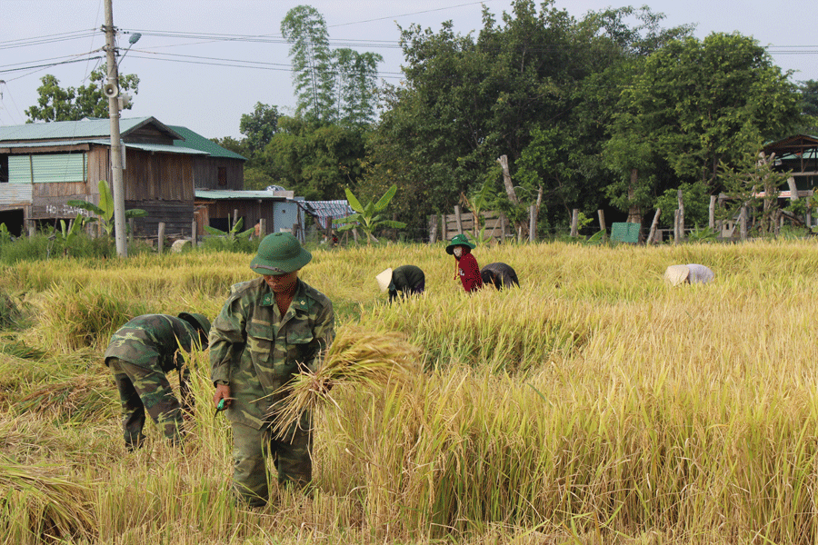 Ảnh: Anh Huy Ảnh: Anh Huy
