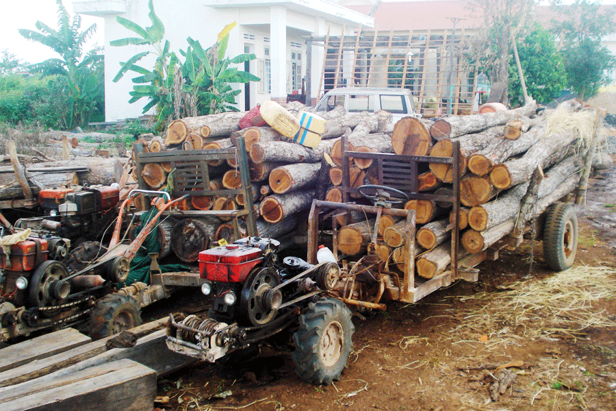 Ảnh: Nguyễn Diệp Ảnh: Nguyễn Diệp