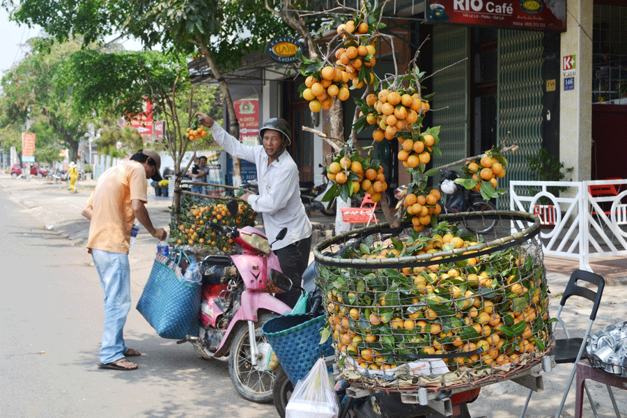 Xe bán thanh trà dạo nối nhau trên phố Lê Lợi. Ảnh: Lê Hòa