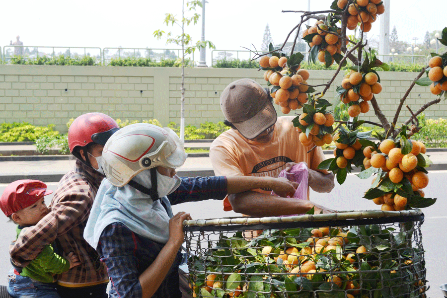 Nhiều người chọn mua thử trái thanh trà lần đầu có bán tại Pleiku. Ảnh: Lê Hòa