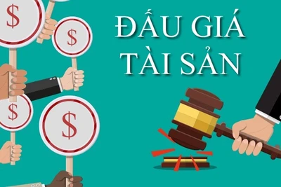 Gia Lai triển khai Quyết định của Bộ Tư pháp về ban hành khung giá dịch vụ đấu giá tài sản