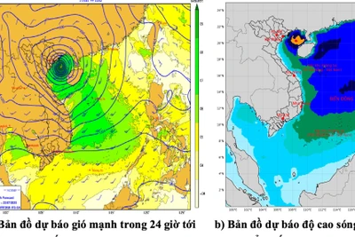 Vùng biển Gia Lai có gió mạnh, sóng to, đất liền mưa giông