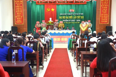 Cao su Chư Prông phấn đấu lợi nhuận trước thuế đạt 528,9 tỷ đồng