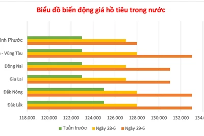 Ngày 29-6, giá tiêu tăng vọt đến 5.000 đồng/kg, cà phê cũng nhích nhẹ 400 đồng/kg