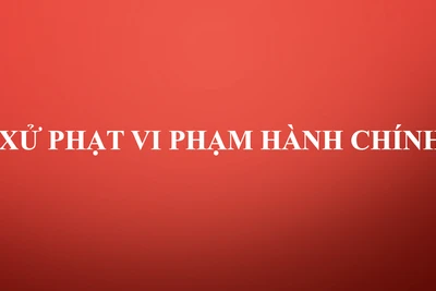 Mang Yang: Không chấp hành lệnh gọi nhập ngũ, một thanh niên bị phạt 62,5 triệu đồng