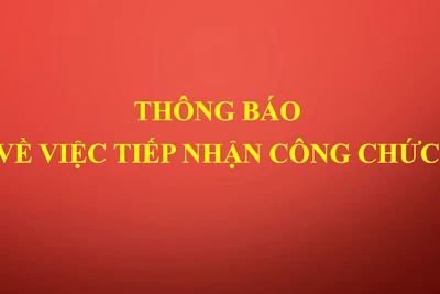 Đảng ủy UBND tỉnh Gia Lai cần tiếp nhận 4 công chức