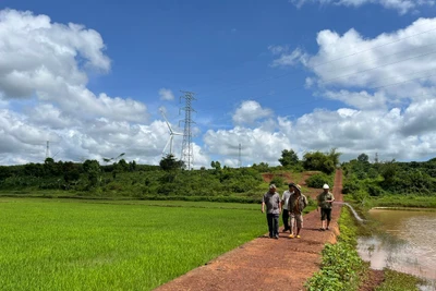 Gia Lai phân công nhiệm vụ thực hiện Bộ tiêu chí xã nông thôn mới giai đoạn 2021-2025