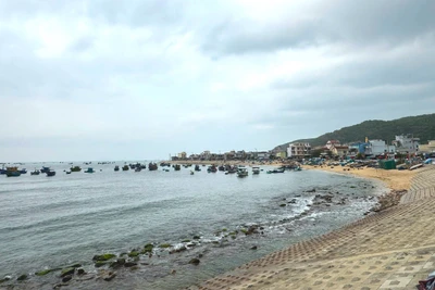 Bình Định đặt mục tiêu phát triển du lịch cộng đồng tại 4 địa điểm trong năm 2025