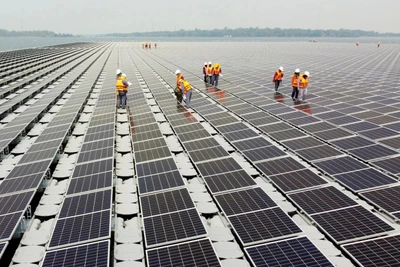 Mỹ áp thuế đến 271% chống bán phá giá pin mặt trời từ Việt Nam và 3 quốc gia khác