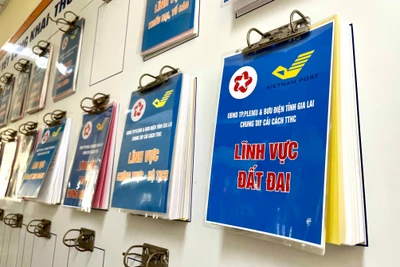 Gia Lai bố trí lại hơn 179,5 tỷ đồng từ nguồn sử dụng đất cho dự án hồ sơ địa chính