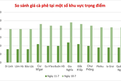 Cà phê giảm từ 1.000 đồng/kg, giá hồ tiêu ổn định