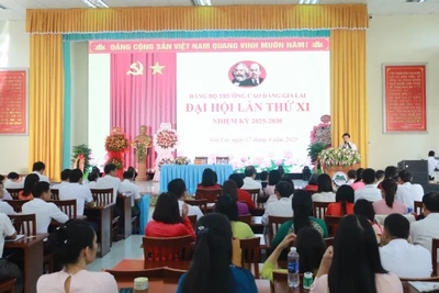 Đảng bộ Trường Cao đẳng Gia Lai tổ chức Đại hội lần thứ XI 