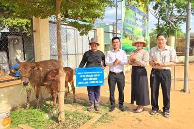 Pleiku, Ayun Pa, Ia Grai trao nhà và sinh kế cho hộ nghèo
