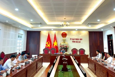 Gia Lai: Họp bàn công tác tổ chức chương trình nghệ thuật tại Tuần lễ Hoa dã quỳ-Núi lửa Chư Đang Ya 