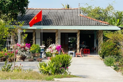 Màu Tết “bên cồn”