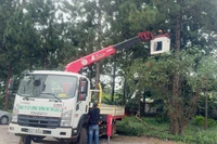 Công ty cổ phần Công trình Đô thị Gia Lai huy động lực lượng, phương tiện trực chiến 24/24 giờ để ứng phó bão số 13.