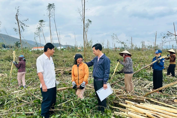 Cán bộ Ngân hàng CSXH tỉnh và Phòng giao dịch Ngân hàng CSXH Vân Canh động viên một số hộ dân thôn Hiệp Hà (xã Vân Canh) vay vốn bị thiệt hại cây trồng sau bão số 13. Ảnh: Triều Châu