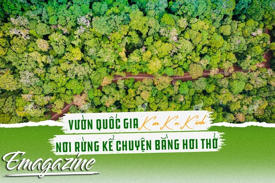Vườn Quốc gia Kon Ka Kinh: Nơi rừng kể chuyện bằng hơi thở