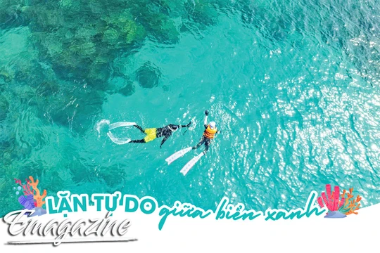 Lặn tự do giữa biển xanh