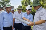 Lãnh đạo tỉnh Gia Lai kiểm tra công tác quản lý, bảo vệ hành lang đê điều, thoát lũ lưu vực sông Hà Thanh