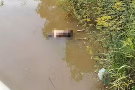 Bình Định: Phát hiện thi thể đang phân hủy bên bờ suối